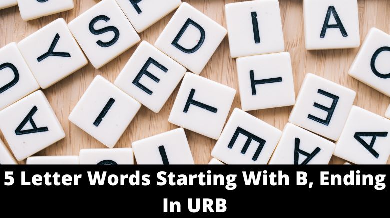 5 Letter Words Starting With B, Ending In URB 5 Letter Words Starting With B, Ending In URB