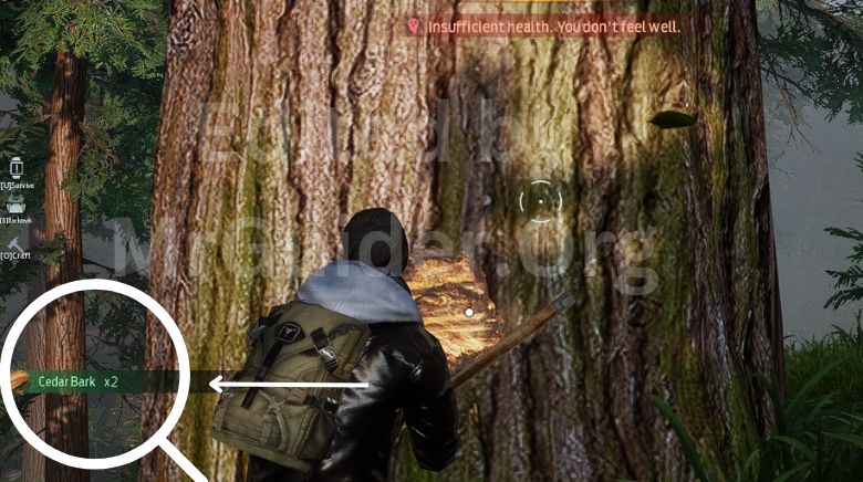 Use the AXE to chop down the tree.