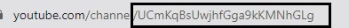 Channel ID Example Channel ID Example
