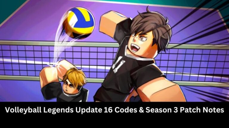 Volleyball Legends Update 16 Codes & Season 3 Patch Notes - MrGuider