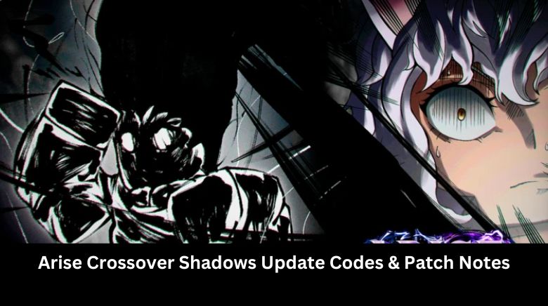 Arise Crossover Shadows Update Codes & Patch Notes