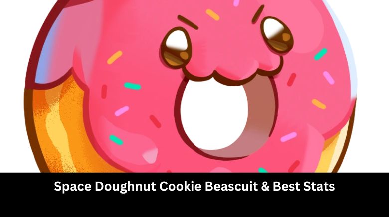 Space Doughnut Cookie Beascuit & Best Stats