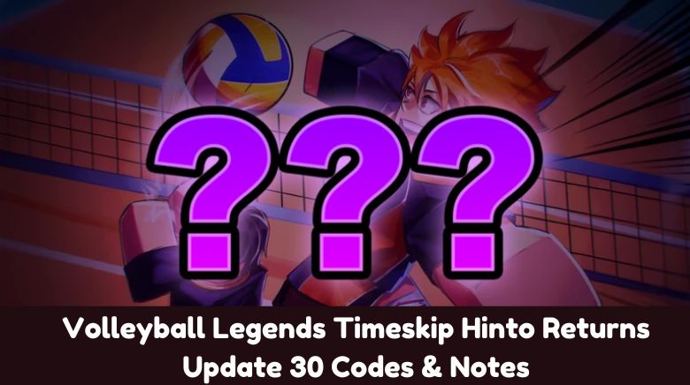 Volleyball Legends Timeskip Hinto Returns Update 30 Codes & Notes