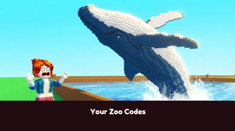 Your Zoo Codes Your Zoo Codes