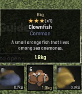 Abyss Clownfish Abyss Clownfish