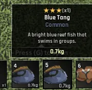 Blue Tang Abyss Blue Tang Abyss