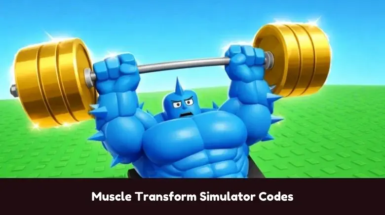 Muscle Transform Simulator Codes Muscle Transform Simulator Codes