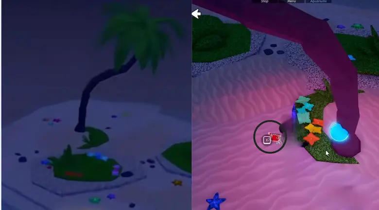 Crab Location 1 Crab Location 1